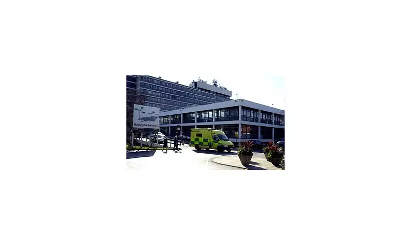 Secret Lovers of Comatose Man Unite to Uncover Truth Behind His Mysterious Brain Bleed