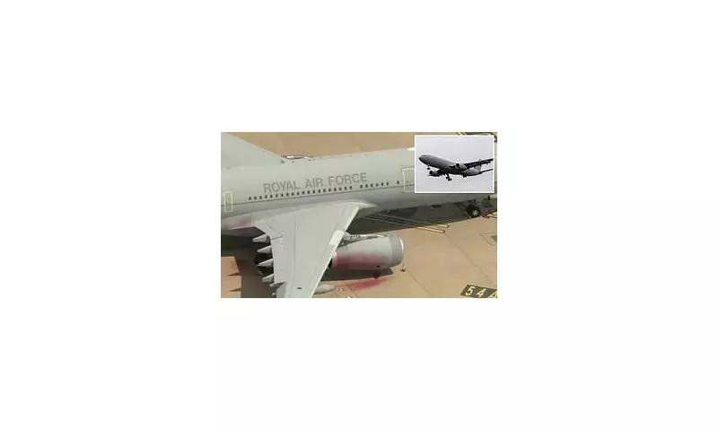 Seventh Suspect Arrested in RAF Brize Norton Security Breach: What We Know