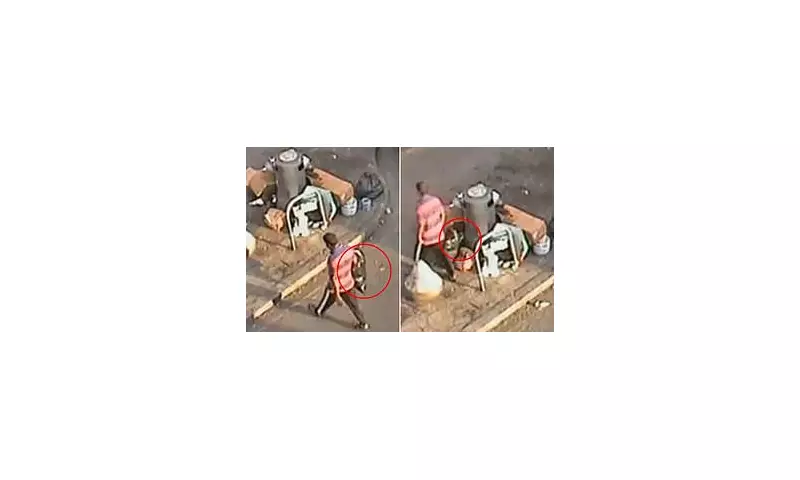 Shamed Fly-Tipper Caught on CCTV Dumping Rubbish in Quiet Street | Daily Mail