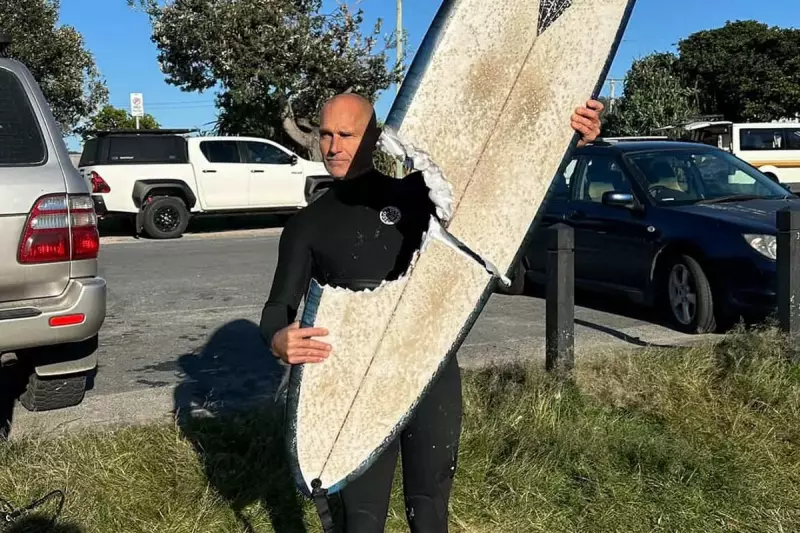 Shark Attack at Australian Beach: Surfer Narrowly Escapes with Minor Injuries