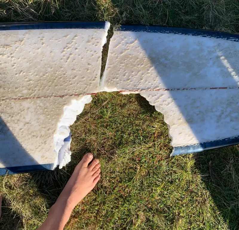 Shark Attack Closes Cabarita Beach: Surfer's Narrow Escape Caught on Camera