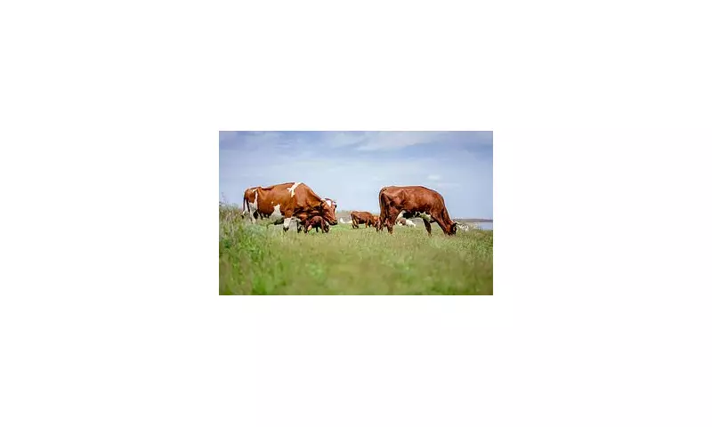 Shocking Case: Farmer Jailed for Raping Wife and Underage Daughter with Cow as Partner Watched