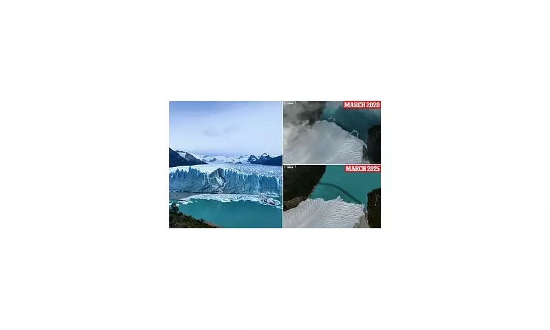 Shocking Collapse of Perito Moreno Glacier: A Stark Reminder of Climate Crisis