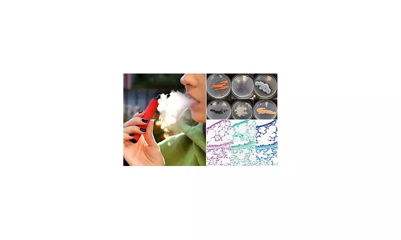 Shocking Discovery: Vape Mouthpieces Found Teeming with Harmful Fungi