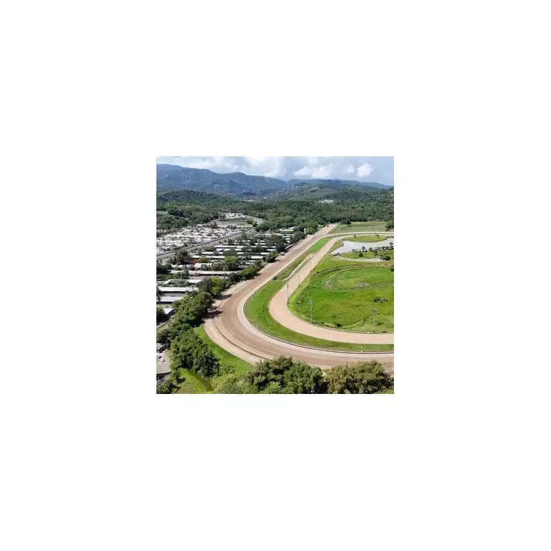 Shocking Horse Welfare Scandal: Puerto Rico Racehorses Allegedly Shipped to Gulfstream Park