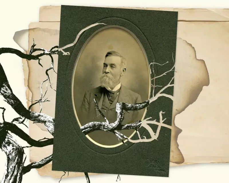 Shocking Legacy: Arsenic Found in Damper as Campers Flee Cliff – The Dark History of Aaco Beef Producer