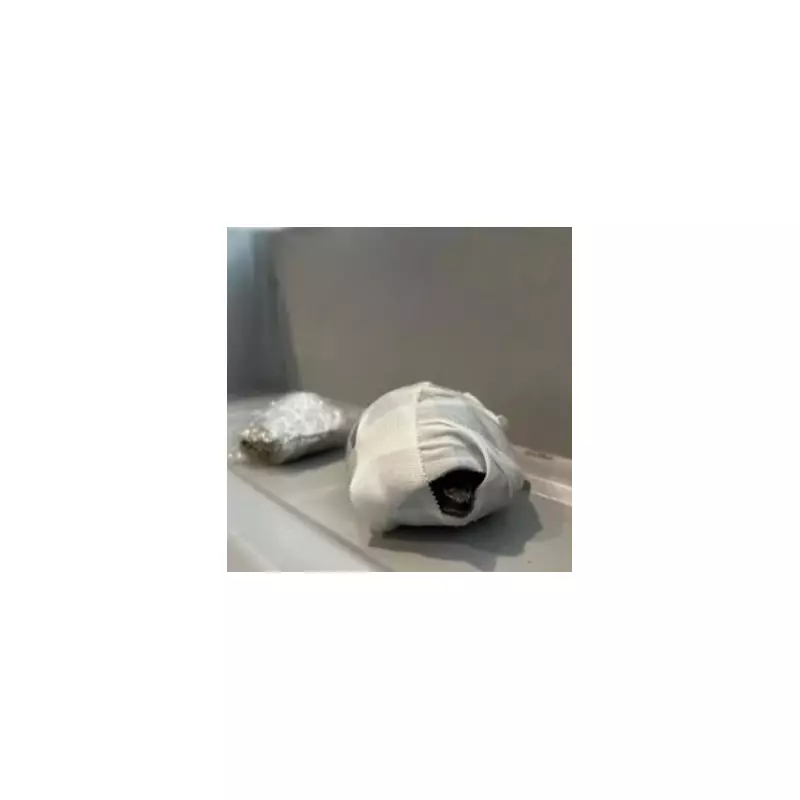 Shocking Moment Passenger Caught Filming Woman in Plane Toilet – Airline Takes Swift Action