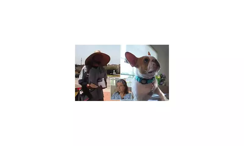 Shocking Moment USPS Worker Pepper Sprays Defenceless Dog in California | Home Security Footage Exposes Attack