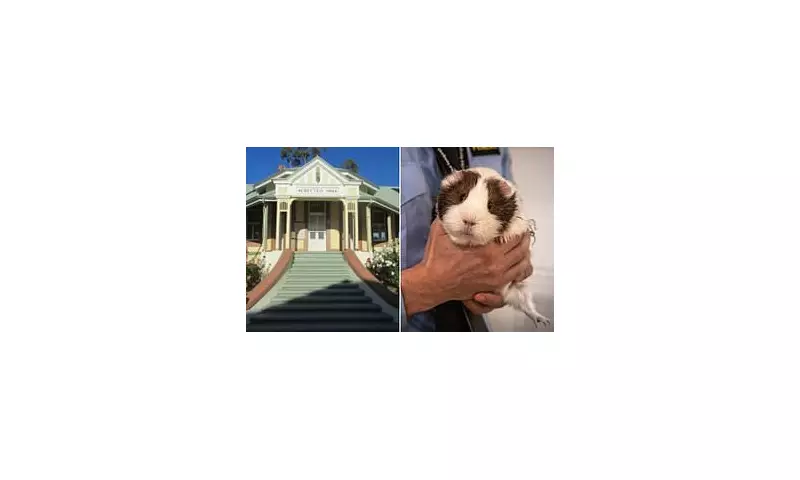 Shocking Prison Scandal: Inmates at Perth's Wooroloo Caught Eating Guinea Pigs