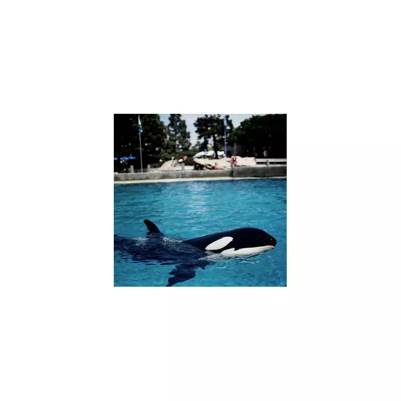 Shocking Truth Behind Viral Trainer Video: What Really Happened