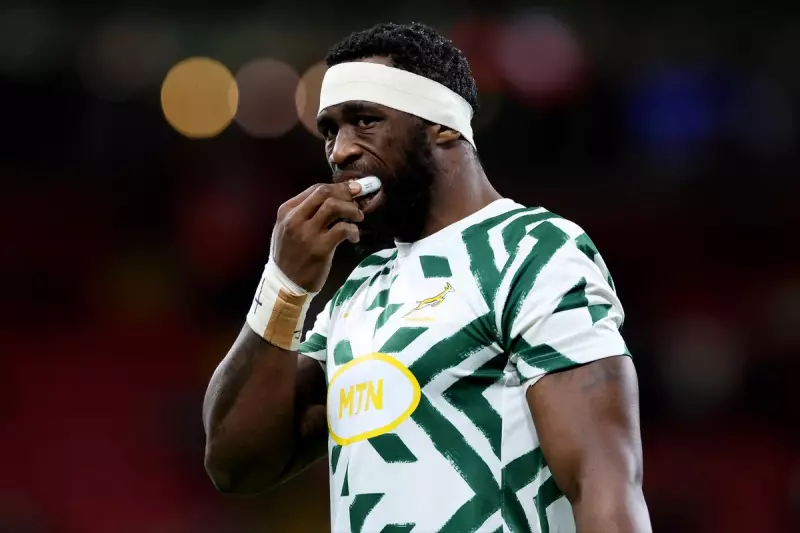 South Africa Crush Australia in Rugby Championship Thriller: Key Highlights