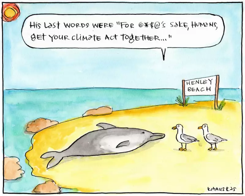 South Australia's Marine Life: A Stark Warning About Our Oceans