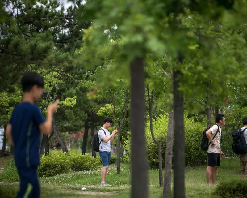 South Korea Tightens Grip on Google Maps: New Restrictions on Geographic Data