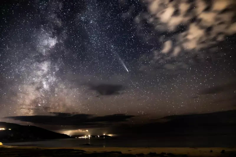 Space Mice Breakthrough: Rodents Successfully Reproduce in Zero Gravity, Paving Way for Human Colonisation