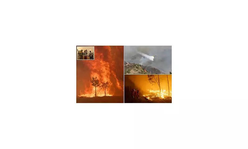 Spain's Hellish Fortnight: Record Wildfires Scorch Area Twice the Size of London as Heatwave Death Toll Tops 1,100