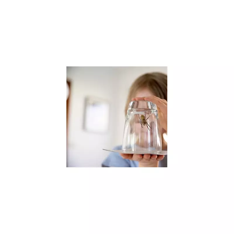 Spider Invasion? Expert Reveals 7 Natural Ways to Keep Giant House Spiders Out of Your Home This Autumn