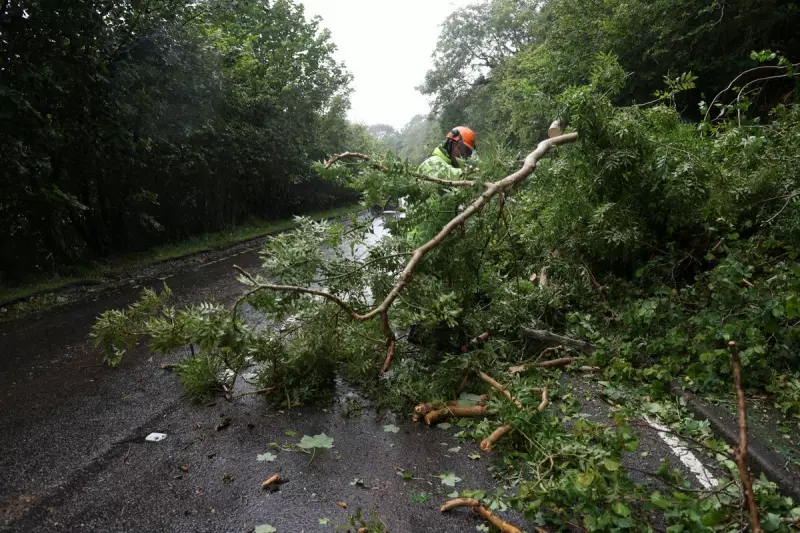 Storm Floris Disrupts Travel Across Scotland: Rail, Flights, and Ferries Affected