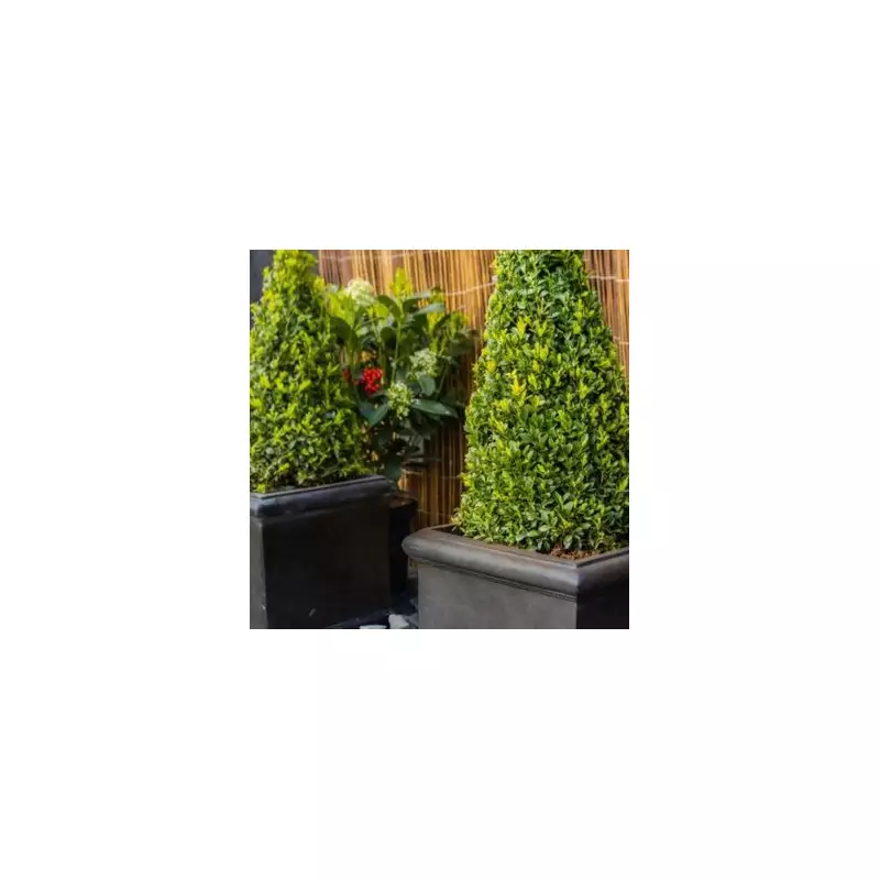 Stylish Faux Lead Planters Hit the Market – Affordable Elegance for Your Garden