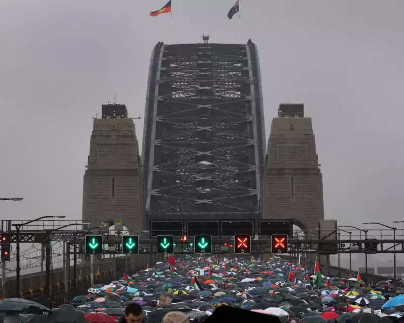 Sydney Harbour Bridge Protest: How Massive Was the Gaza March?