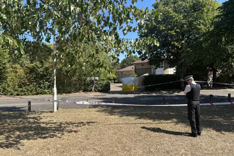 Teenager Stabbed in Chadwell Heath: Police Launch Urgent Investigation