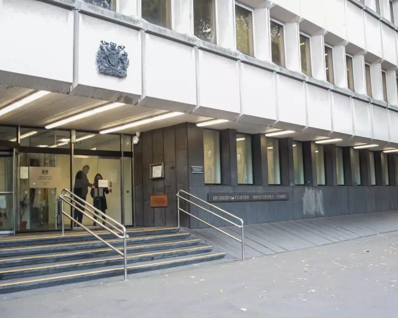 Teenagers Arrested for Gruesome Kitten Torture and Killing in London