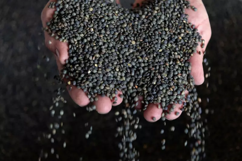 The Fibre Fix: How a Simple Dietary Switch Can Slash Cholesterol and Transform Your Health