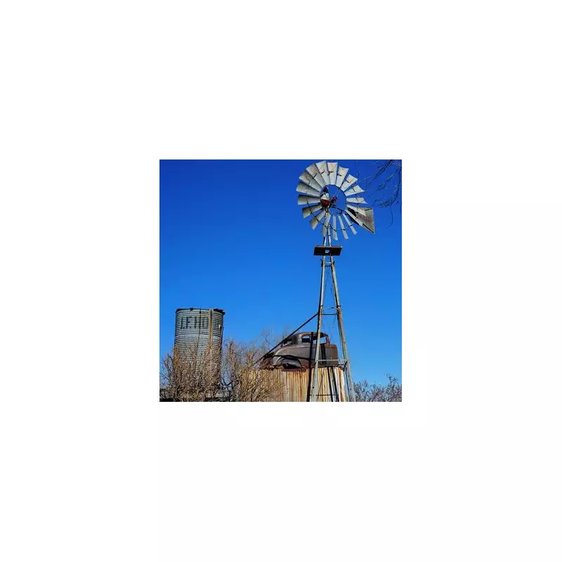 The Haunting Beauty of Rhyolite: A Ghost Town on the Fringe of Las Vegas