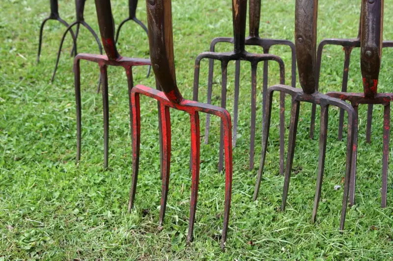 The People Next Door: How Neighbours Shape Our Daily Lives