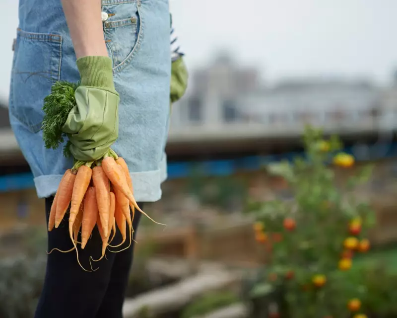 The Secret Joys of Allotment Gardening: Why Brits Are Embracing the Grow-Your-Own Revolution