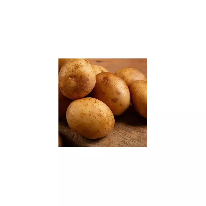 The Secret to Storing Potatoes Properly to Prevent Sprouting and Waste