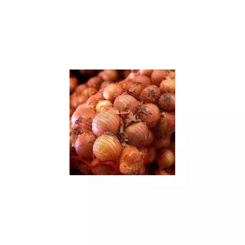 The Surprising Place You Should Never Store Onions – And Where to Keep Them Fresh