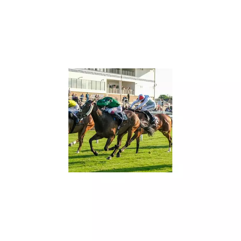 Thursday's Top Horse Racing Picks: Expert Selections for Today's Races