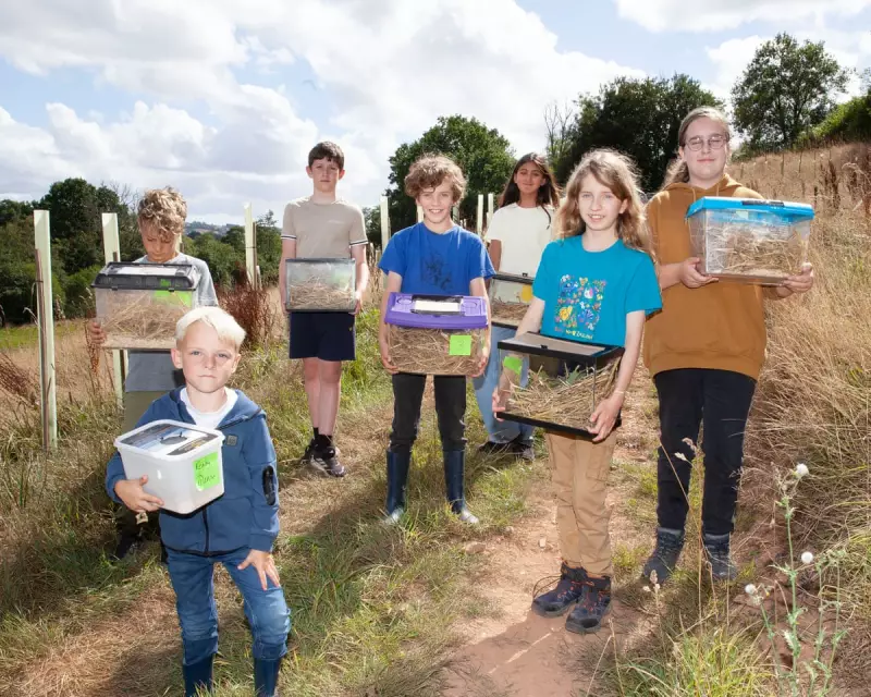 Tiny Guardians: Britain's Young Naturalists Lead the Charge to Save Harvest Mice