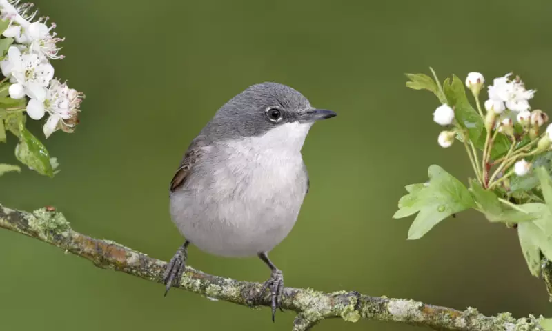 Top Recent Poetry Collections: A Must-Read Roundup for Literature Lovers