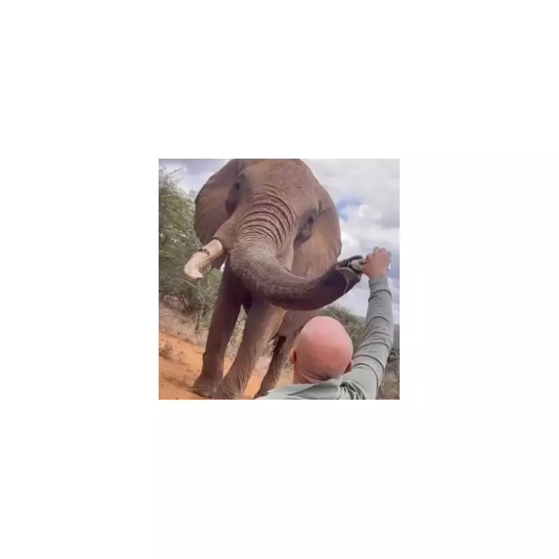 Tourist Slammed for 'Reckless' Cliff Jump at Iconic Seven Sisters as Onlookers Scream in Horror