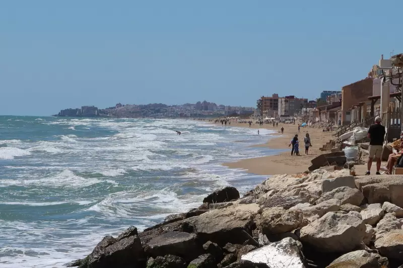Toxic Blue Dragon Sea Slug Invasion Stuns Spanish Beachgoers in Guardamar del Segura