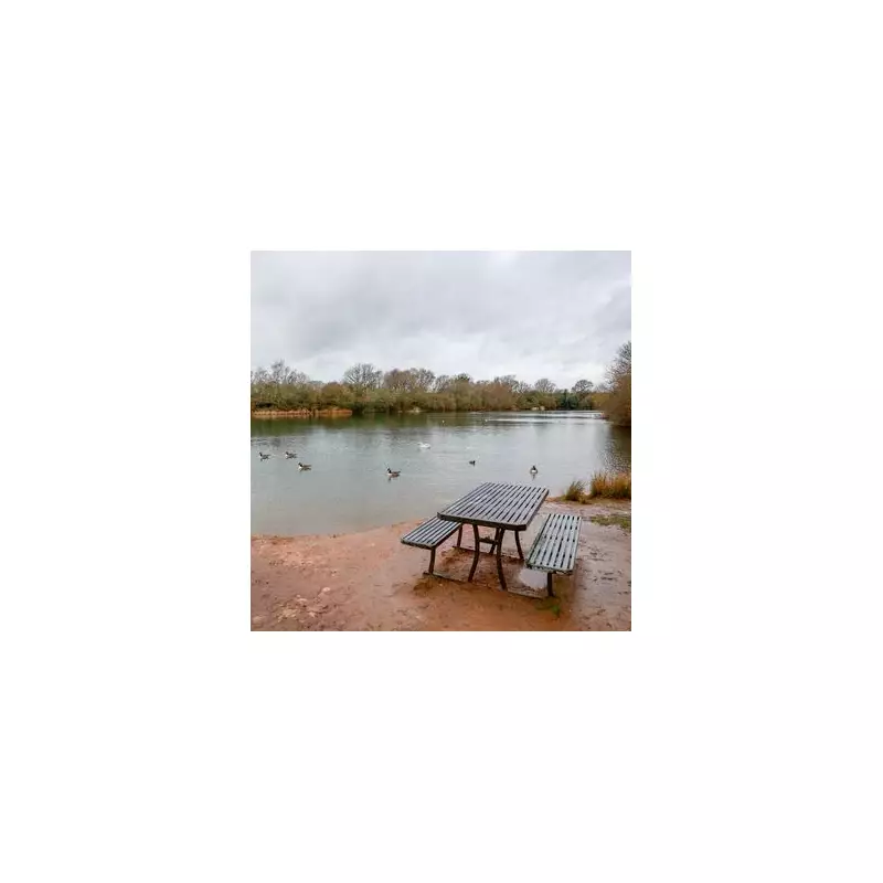 Tragedy at Beauty Spot: Man Dies After Jumping Into Enson Pool