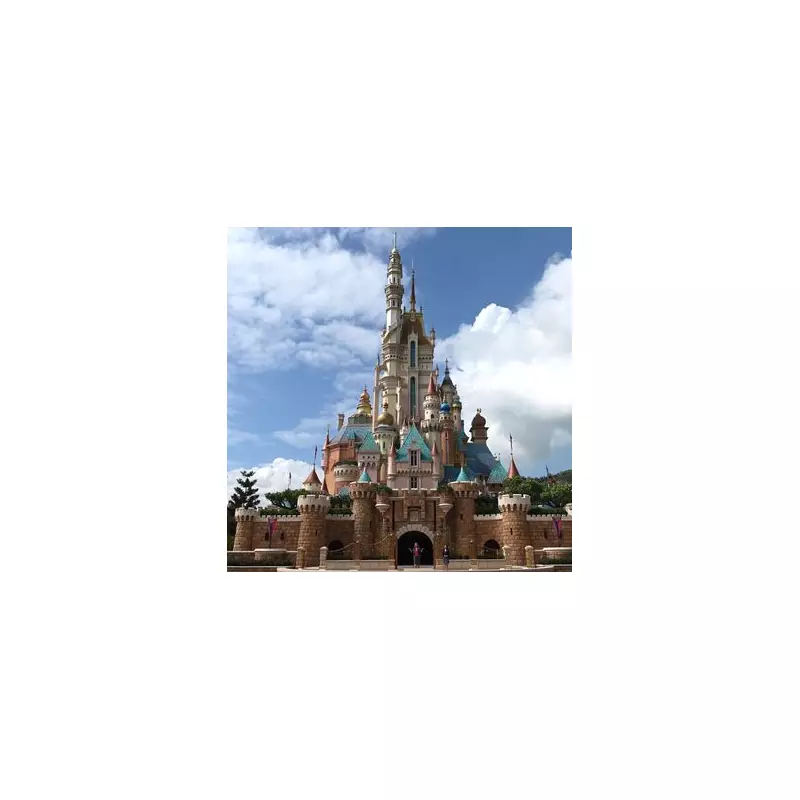 Tragedy at the Magic Kingdom: British Tourist Dies After Collapsing at Disneyland Paris