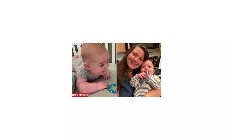 Tragedy in Florida: Baby Mauled by Family's Great Dane on Mother's Birthday