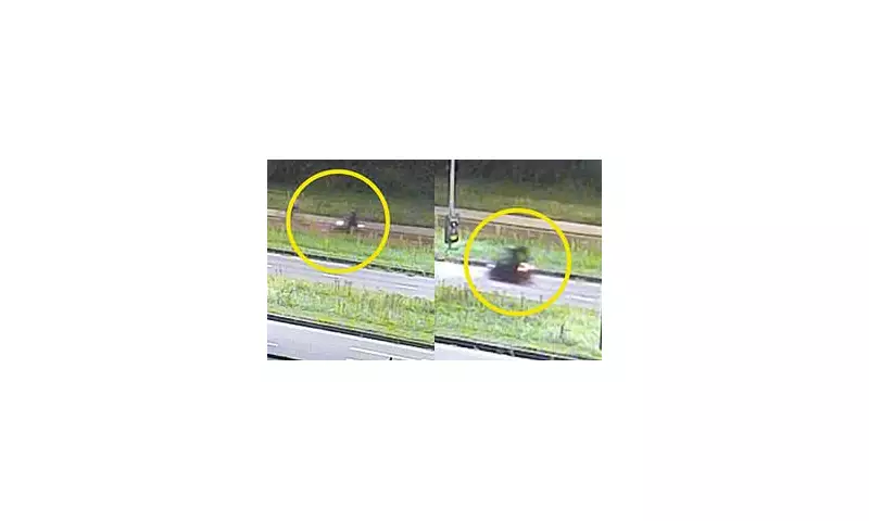 Tragedy in Holland: Teenager, 17, Stabbed to Death After Calling Police to Report Being Followed on Bike Ride Home