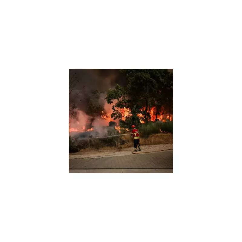 Tragedy in Portugal as Firefighter Dies Battling Wildfire – Heroic Efforts Amidst Blaze