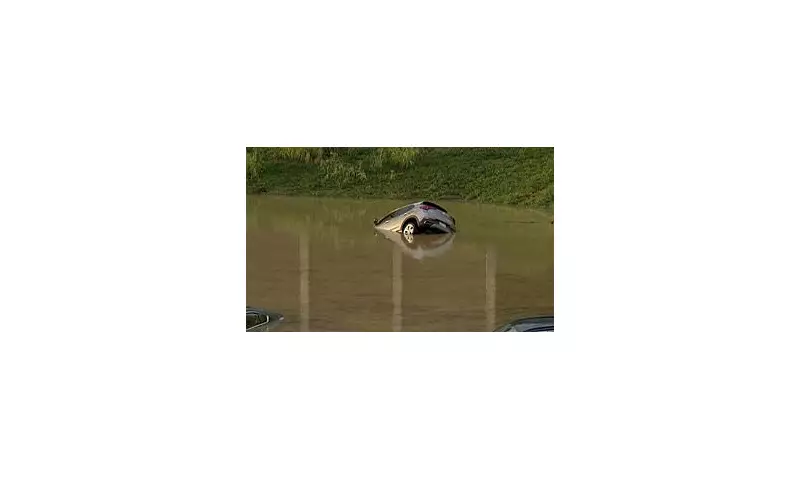 Tragedy in Tennessee: Child Crushed to Death by Falling Tree Amid Severe Flooding