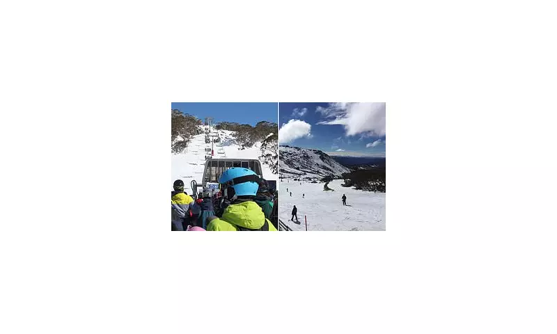 Tragedy on the Slopes: Snowboarder Dies in Perisher Snowy Mountains Accident