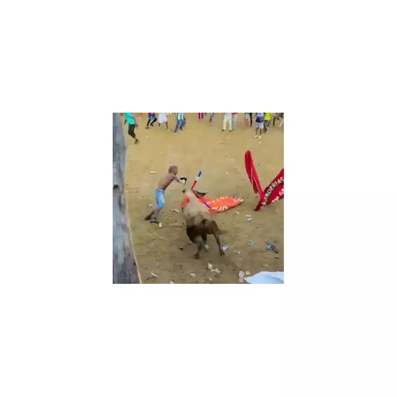 Tragic End: Man Killed by Bull After Taunting Animal at Spanish Festival