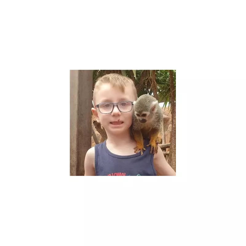 Tragic Playground Accident Claims Life of Nine-Year-Old Boy in Italy