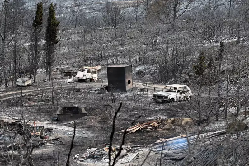 Tragic Wildfire in Southern France Claims Lives and Forces Evacuations