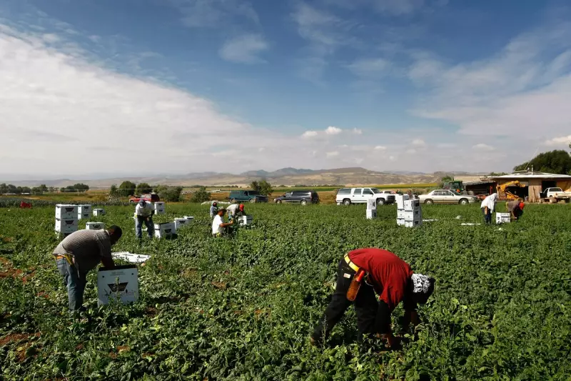 Trump Ally Brooke Rollins Under Fire for Alleged Misuse of Medicaid Funds on Lavish Farm