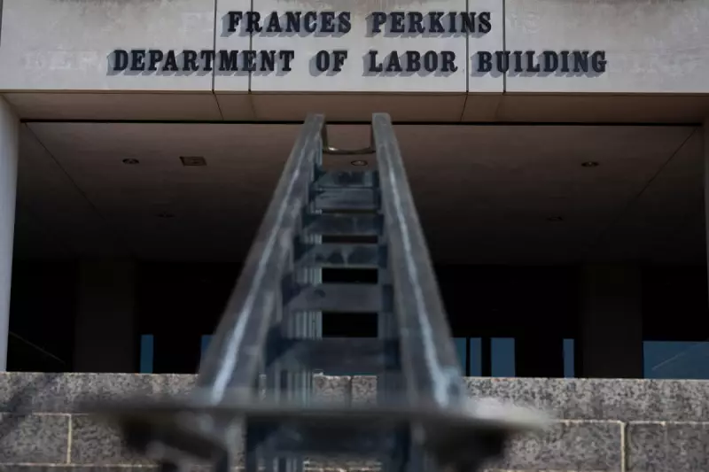 Trump-Appointed Labor Official Under Fire for Racist Social Media Posts