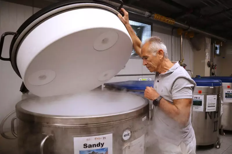 Trump Claims He Could Have 'Massively' Won UK Election, Cambridge Study Reveals