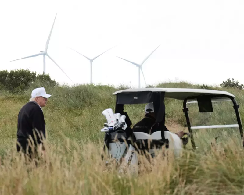 Trump vs Teddy Roosevelt: Why Comparing Their Conservation Efforts Is Ridiculous